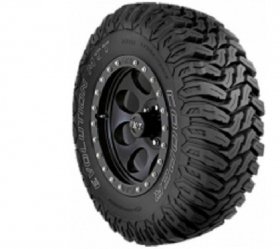 Cooper Evolution MTT OWL POR